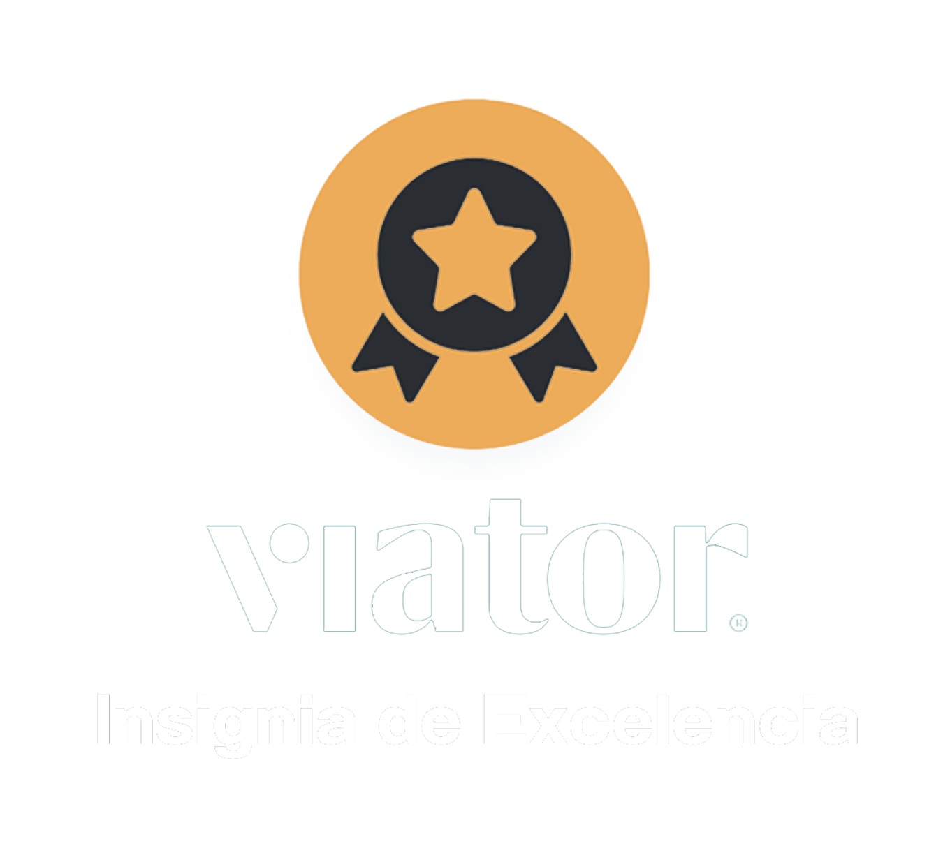 Insignia-de-Excelenciaviator.png